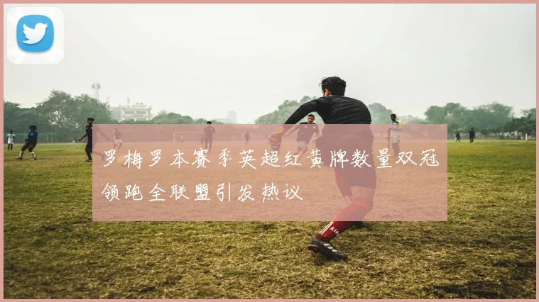 罗梅罗本赛季英超红黄牌数量双冠领跑全联盟引发热议